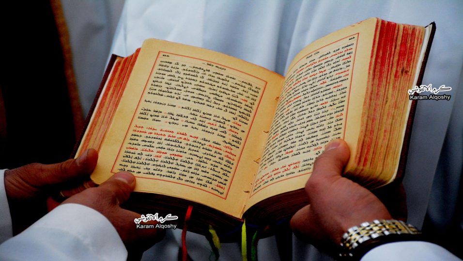 15844446_746930365460990_7715439469404052299_o