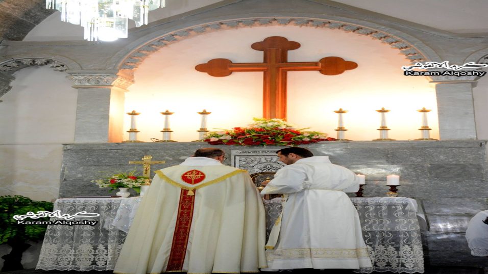 15874694_746930492127644_443584988058464513_o