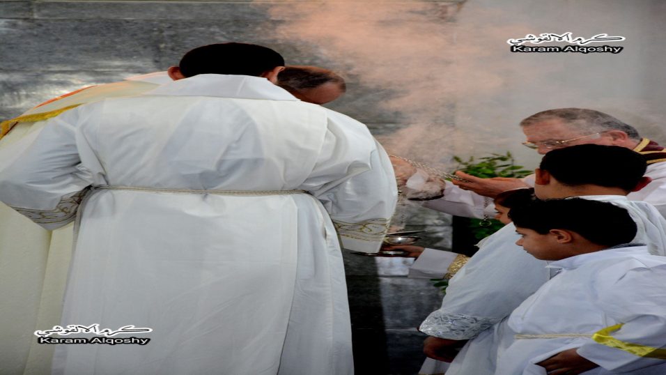 15875026_746930488794311_7954674559184317027_o