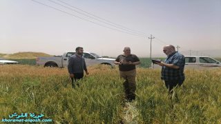 فريق البرنامج الوطني يجري زيارة ميدانية الى عدد من حقول القوش والشيخان