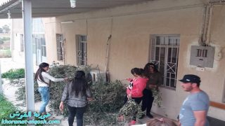 في القوش: تزيين وتنظيف الشوارع المخصصة لمراسيم عيد السعانين من قبل اعضاء لقاء الشباب