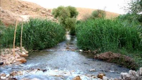 القوش 4 : لوحات القوشية على انغام نصير شمة Alqosh 4