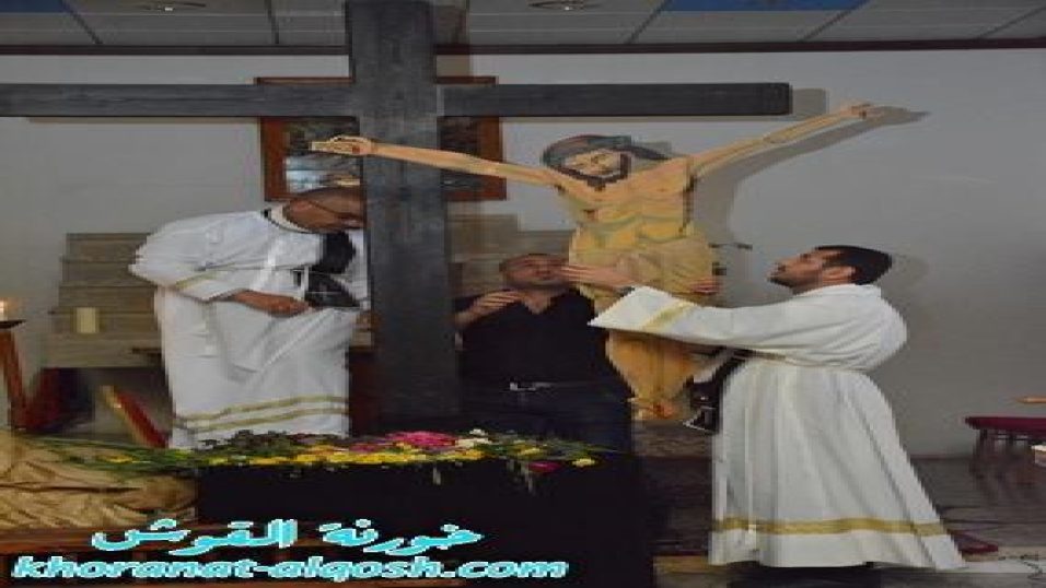 30127558_2035034216718357_1525885357806059520_n