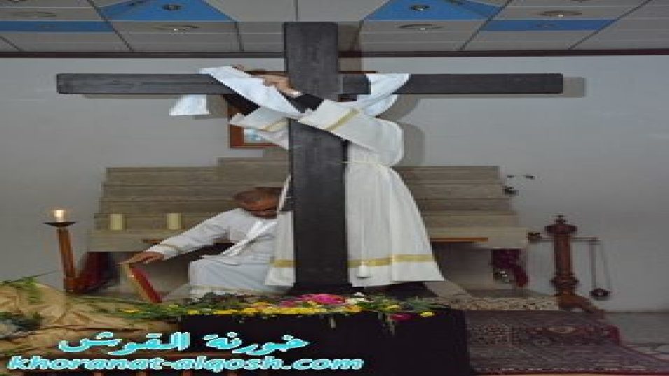 30221583_2035034160051696_1188540604695445504_n