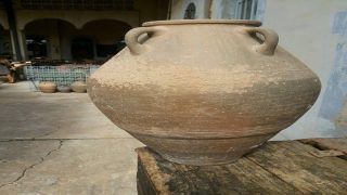 قوقا (بستوكا )