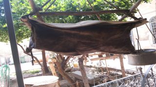 كَوذا (المشكاة)