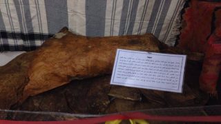 مزيدا (حافظة المونة المنزلية)